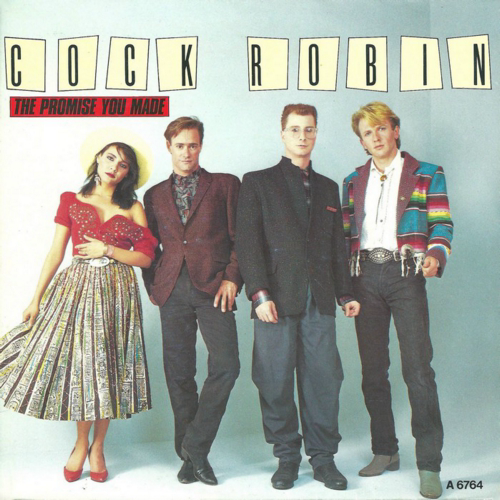 Capa de The Promise You Made